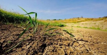 Украина теряет 20 млрд. грн. ежегодно из-за деградации почв